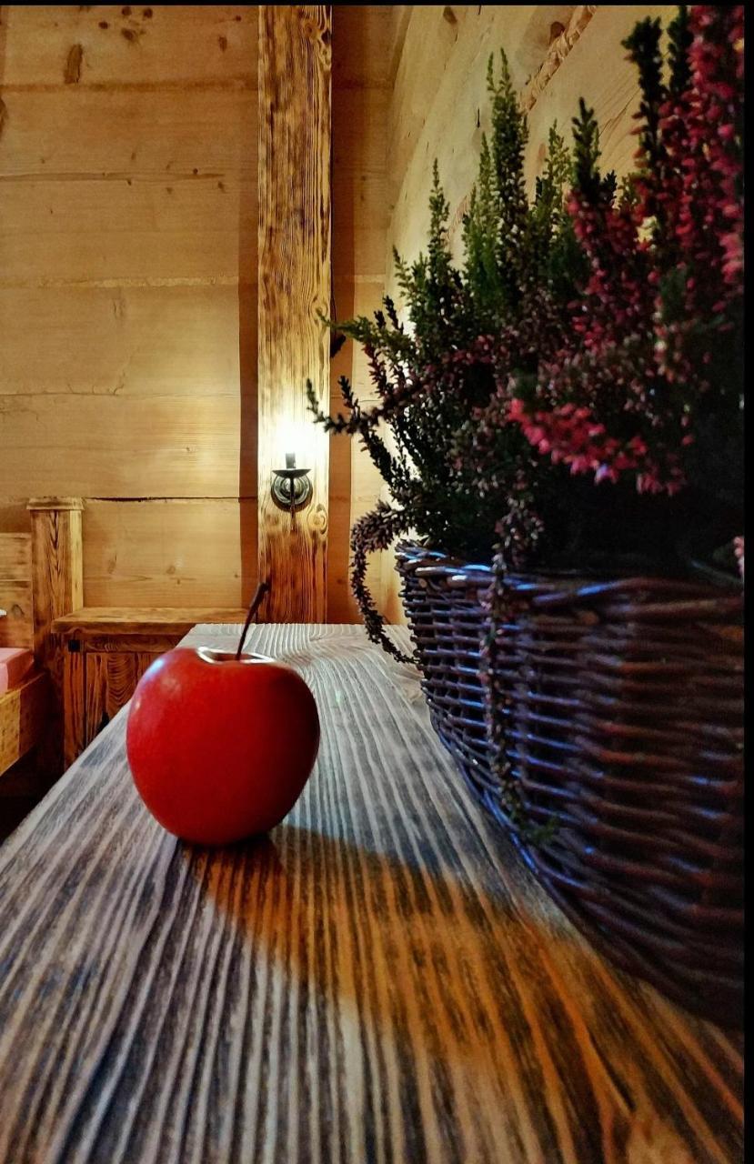 Bukowianska Ostoja - Sauna, Jacuzzi I Balia W Ofercie Bukowina Tatrzańska Buitenkant foto